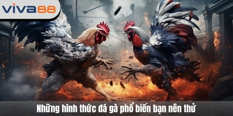 đá gà